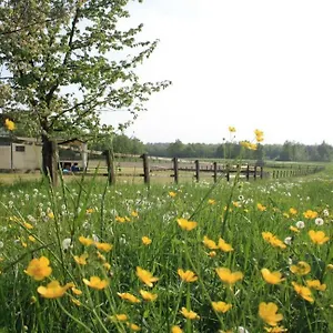 Agriturismo Cargandino Agroturismo